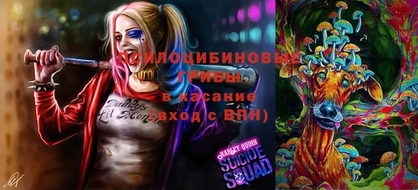 соль курить ск Алзамай