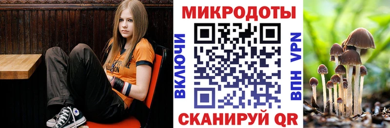 Псилоцибиновые грибы Psilocybine cubensis Игарка
