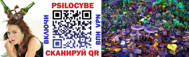 Псилоцибиновые грибы мухоморы  ОМГ ОМГ онион  Игарка 